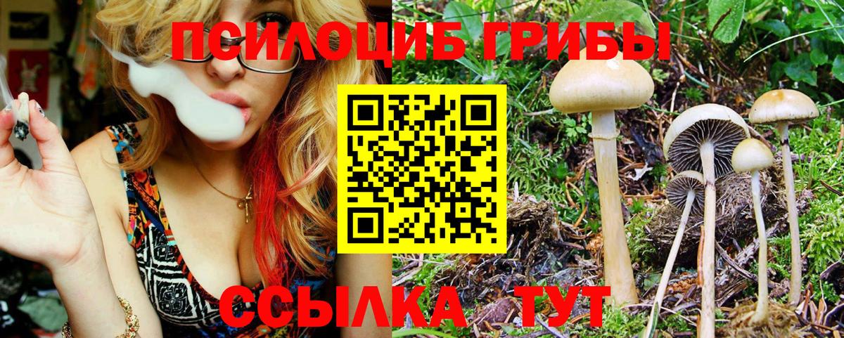 Галлюциногенные грибы GOLDEN TEACHER Елабуга