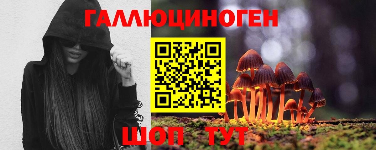 Елабуга  Галлюциногенные грибы Psilocybe  Вход с VPN 